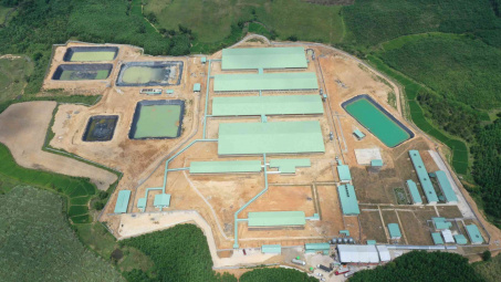 Mở rộng mảng chăn nuôi, lãi ròng năm nay của BaF Việt Nam (BaF) ước tăng gấp 14 lần