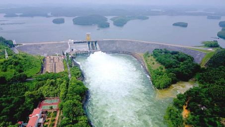 “Cá mập” Singapore quyết thâu tóm Cơ Điện Lạnh (REE)