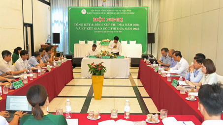 Cao su Việt Nam (GVR): Nhiều đơn vị phát triển khu công nghiệp vượt chỉ tiêu lợi nhuận