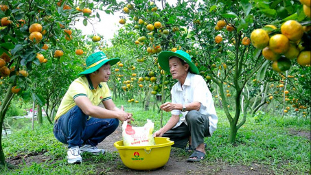 Kỳ vọng lợi nhuận của nhóm phân bón bùng nổ nếu được áp thuế VAT