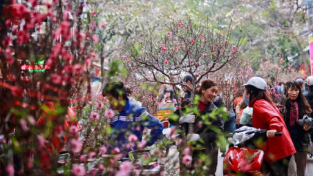 Tin chính thức: Thủ tướng đồng ý nghỉ 9 ngày liên tục dịp Tết Nguyên đán Ất Tỵ 2025