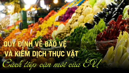 [Emagazine] Quy định về bảo vệ thực vật và kiểm dịch thực vật - Cách tiếp cận mới của EU