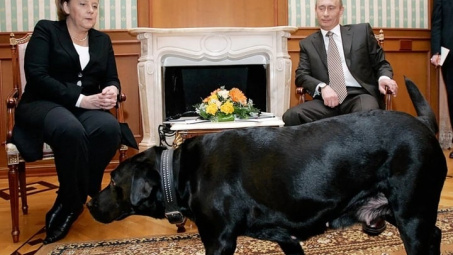 Quốc tế nổi bật: Tổng thống Nga Vladimir Putin xin lỗi bà Angela Merkel