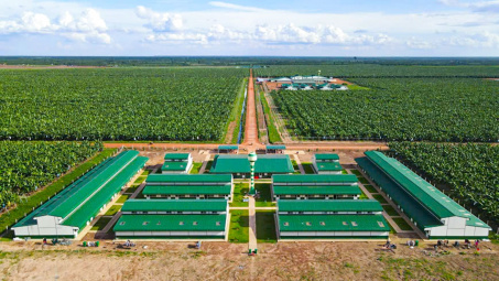 THACO AGRI tuyển dụng hơn 6.100 nhân sự trong quý 3/2024