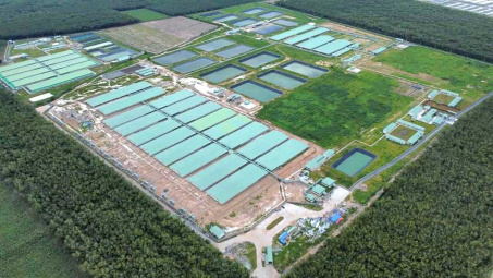 BaF Việt Nam (BAF) thâu tóm cùng lúc 6 doanh nghiệp chăn nuôi