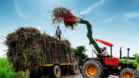 Bảo vệ thị trường trong nước nhìn từ câu chuyện mía đường