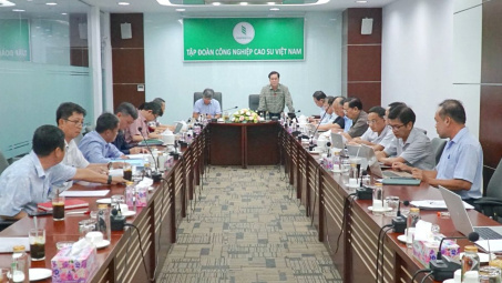 Cao su Việt Nam (GVR): Lãi từ 86.000 ha cao su tại Campuchia năm nay sẽ cao gấp 3 lần