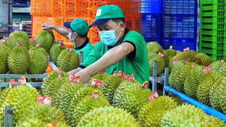 Chủ tịch Hoàng Anh Gia Lai (HAG): 10 năm nữa Trung Quốc mới tự cung được sầu riêng
