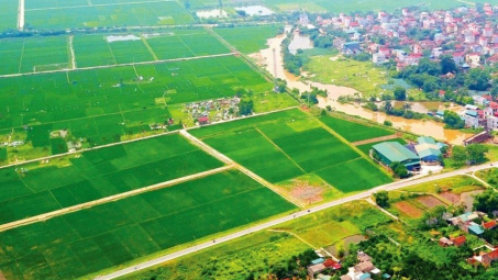 Tăng cường đôn đốc thu ngân sách các khoản liên quan đến đất đai trong tháng cuối năm 2024