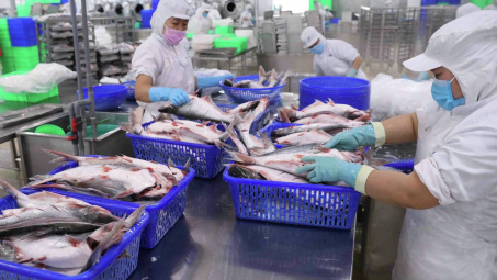 Tập đoàn GELEX (GEX) lấn sân sang mảng thuỷ sản, trở thành cổ đông lớn của SEAPRODEX