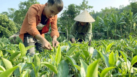 Huyện Phú Lương (Thái Nguyên) kiểm tra, đôn đốc thực hiện dự án chương trình mục tiêu quốc gia