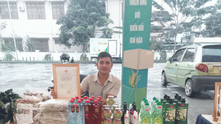 HTX Dịch vụ nông lâm nghiệp Thành Tiến: Đa dạng hoá sản phẩm giúp người dân tiêu thụ chè xanh