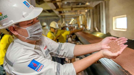 Đạm Cà Mau (DCM) thận trọng cho năm 2025, dự báo lãi có thể giảm 32%