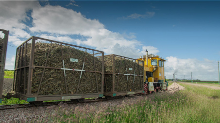 Rà soát thuế chống lẩn tránh với đường mía của 1 doanh nghiệp