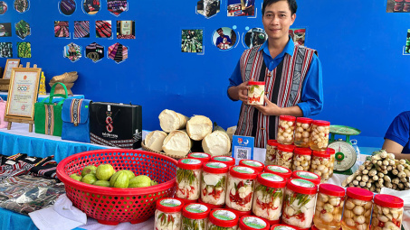 Lan toả mô hình phát triển kinh tế nông nghiệp bền vững ở xã Ba Vì, huyện Ba Tơ