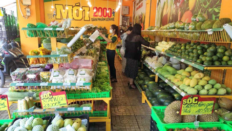 Bách Hoá Xanh: Sẽ hoàn tiền cho khách mua giá đỗ nhiễm hoá chất