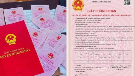 Quy định về hộ gia đình sử dụng đất theo Luật Đất đai 2024 và một số lưu ý khi áp dụng
