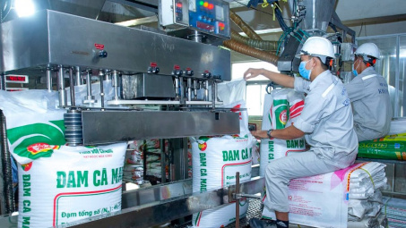 Đạm Cà Mau (DCM): Lãi quý 4 giảm 74%, nhà máy mới sẽ hoạt động trong quý 1/2025