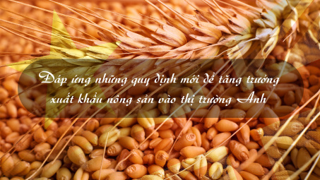 [eMagazine] Đáp ứng những quy định mới để tăng trưởng xuất khẩu nông sản vào thị trường Anh
