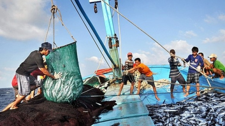 Thủ tướng chỉ đạo chấn chỉnh công tác cấp Giấy chứng nhận thủy sản khai thác