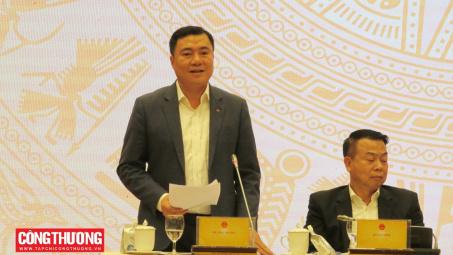 Thứ trưởng Bộ Công Thương Nguyễn Sinh Nhật Tân thông tin về Dự án điện hạt nhân Ninh Thuận