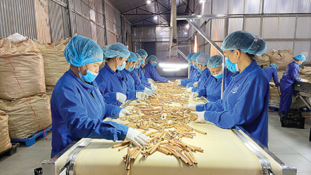 Thủ tướng chỉ đạo tháo gỡ khó khăn cho hoạt động xuất khẩu dược liệu