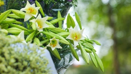 Thời tiết hôm nay ngày 12/4/2024: Hà Nội hửng nắng, Đà Nẵng và TP. Hồ Chí Minh nắng nóng