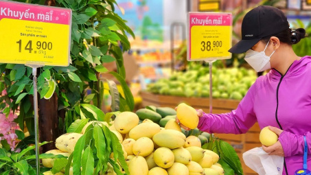 Co.opmart, Co.opXtra mở “Đại tiệc thành viên ưu đãi tưng bừng” tại 800 điểm bán