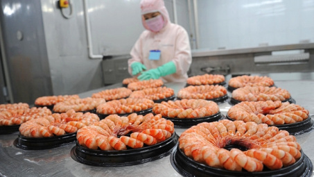 Thực phẩm Sao Ta (FMC): Sẵn sàng đương đầu với vụ kiện chống trợ cấp từ Hoa Kỳ