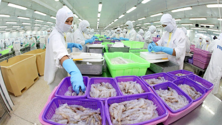 Thực phẩm Sao Ta (FMC): Xuất khẩu tôm hồi phục mạnh, lãi quý 1 tăng 14%