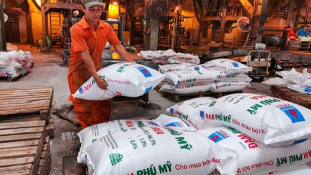 Quý I/2024, cả nước xuất khẩu gần 500.000 tấn phân bón