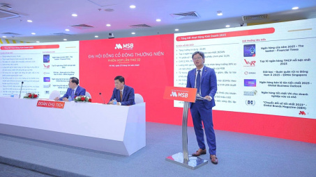 Ngân hàng MSB: Để ngỏ phương án bán vốn cho đối tác ngoại, mục tiêu lãi năm nay tăng 17%