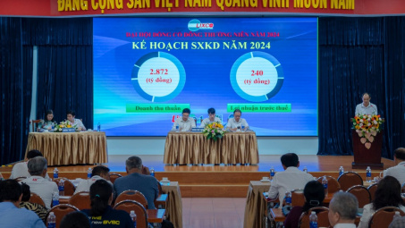 Công ty CP Bột giặt LIX: Năm 2024, phấn đấu lãi 240 tỷ đồng, phát hành cổ phiếu tăng vốn điều lệ