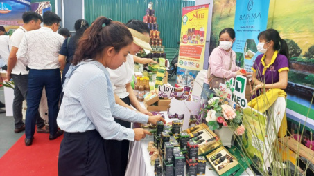 Thành lập Trung tâm Xúc tiến Đầu tư, Thương mại và Hỗ trợ doanh nghiệp tỉnh Thừa Thiên Huế