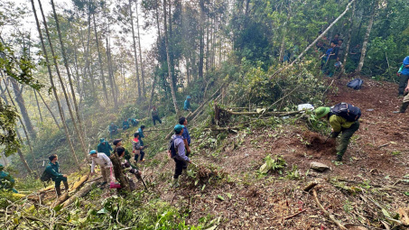 Chủ động phòng cháy, chữa cháy rừng, giảm thiểu thấp nhất thiệt hại do cháy rừng gây ra