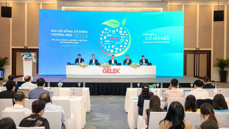 ĐHĐCĐ 2024 Tập đoàn GELEX (GEX): Mục tiêu lợi nhuận năm nay tăng 37,5%
