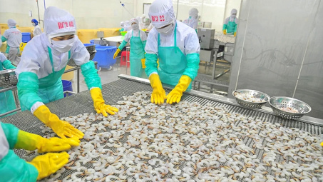 Thực phẩm Sao Ta (FMC): Chuẩn bị chia cổ tức tiền mặt 20%