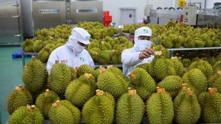 Xuất khẩu rau quả Việt Nam đạt 1,8 tỷ USD trong 4 tháng đầu năm 2024