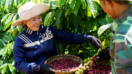 Nestlé Việt Nam cùng đối tác thúc đẩy sáng kiến giảm phát thải trong chuỗi cung ứng