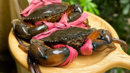 Xuất khẩu cua ghẹ ghi nhận tăng trưởng đột biến tại thị trường Trung Quốc & Hồng Kông