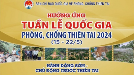 Nhiệt điện Hải Phòng: Hưởng ứng tuần lễ Quốc gia về phòng chống thiên tai năm 2024