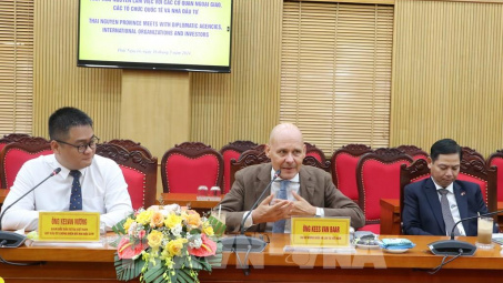 Thái Nguyên: Nhiều doanh nghiệp, tổ chức quốc tế tìm kiếm cơ hội đầu tư trong lĩnh vực công nghiệp