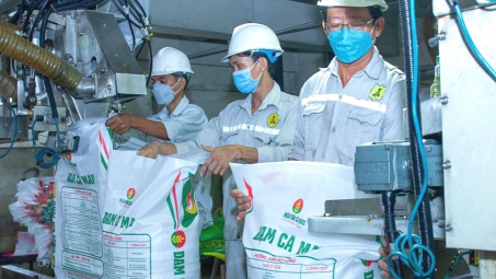 Phân bón có thể chịu thuế VAT 5%, kỳ vọng lãi ròng Đạm Cà Mau (DCM) tăng 47%
