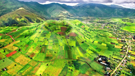 Đưa Tây Nguyên thoát khỏi “vùng trũng” trong phát triển ngoại thương