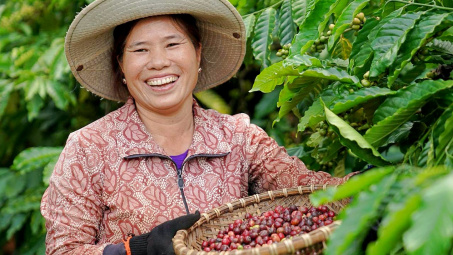 Giá cà phê hôm nay 22/5: Tiếp tục tăng, giá xuất khẩu tăng gần 50% sau 4 tháng