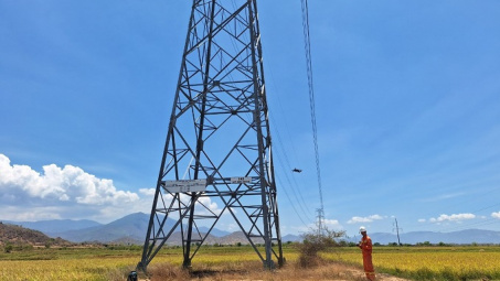 Đảm bảo truyền tải điện an toàn, liên tục dưới thời tiết nắng nóng khắc nghiệt khu vực tỉnh Ninh Thuận