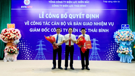 Bổ nhiệm Giám đốc Công ty Điện lực Thái Bình