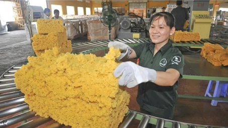 Hưởng lợi từ giá cao su neo cao, Cao Su Đồng Phú (DPR) chờ thêm “tin vui” từ mảng khu công nghiệp