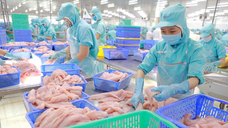 Xuất khẩu cá tra giảm 21%, lãi ròng của Đa Quốc Gia IDI “đi lùi”