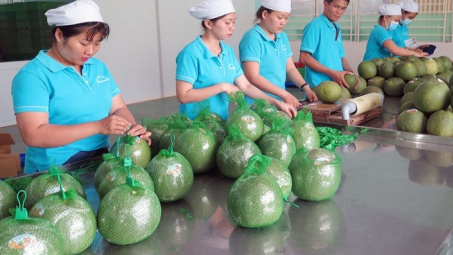 Quy định mới của Australia và Đài Loan (Trung Quốc) đối với nông sản nhập khẩu